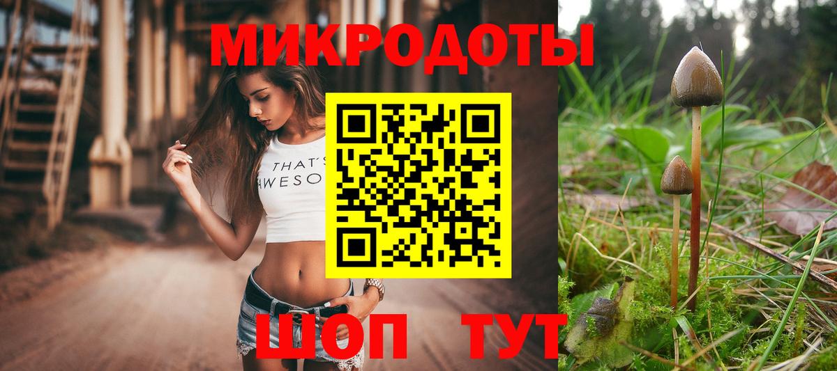 Галлюциногенные грибы мицелий Асино