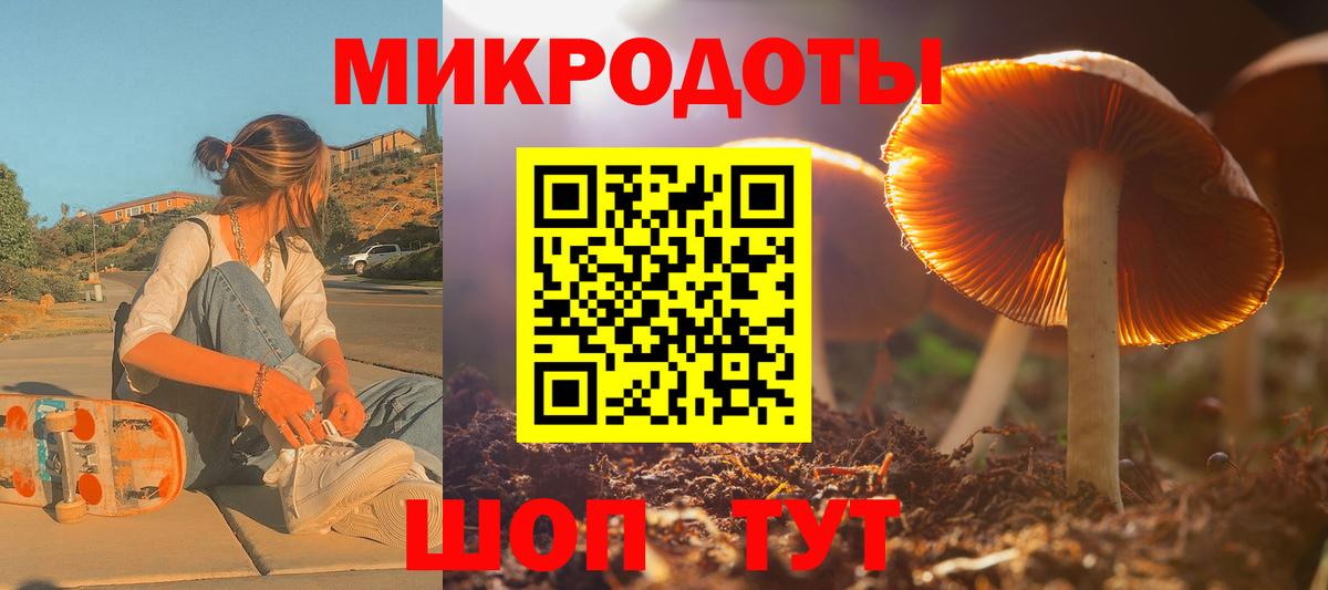 Асино  Галлюциногенные грибы Psilocybine cubensis  Вход с VPN 